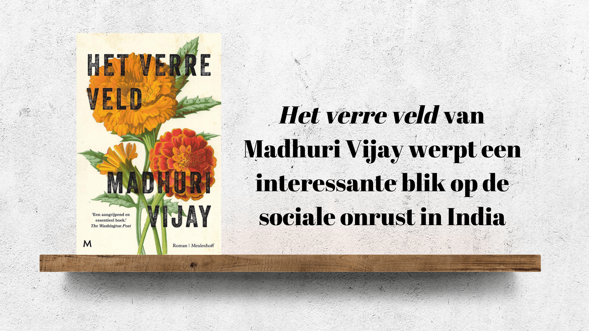 Boekrecensie: Het verre veld van Madhuri Vijay werpt een interessante blik op de sociale onrust in India - Celine Haring